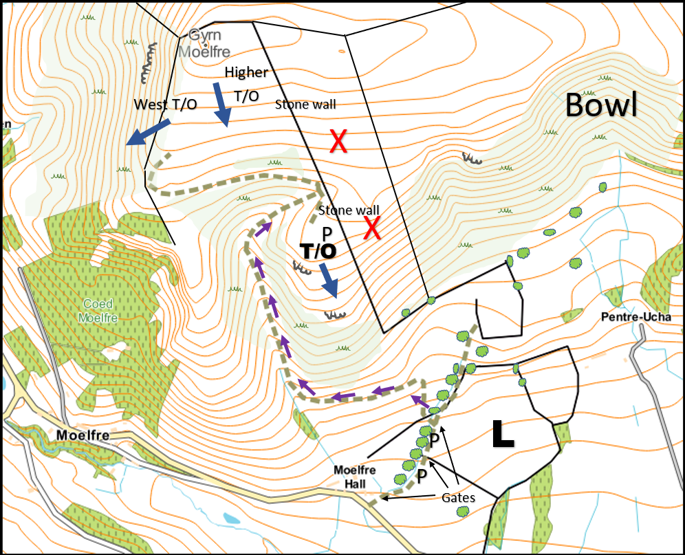 Gyrn Moelfre site map
