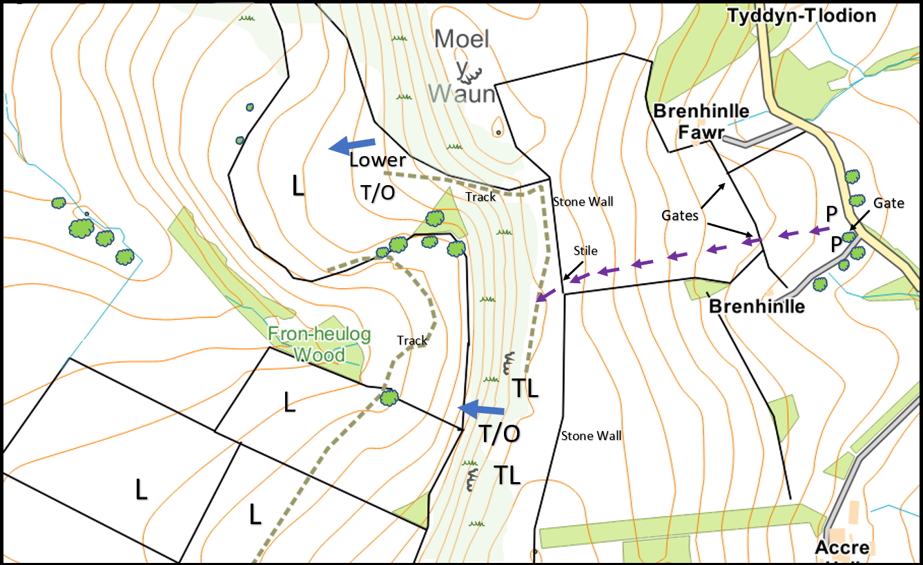 Moel Accre site map